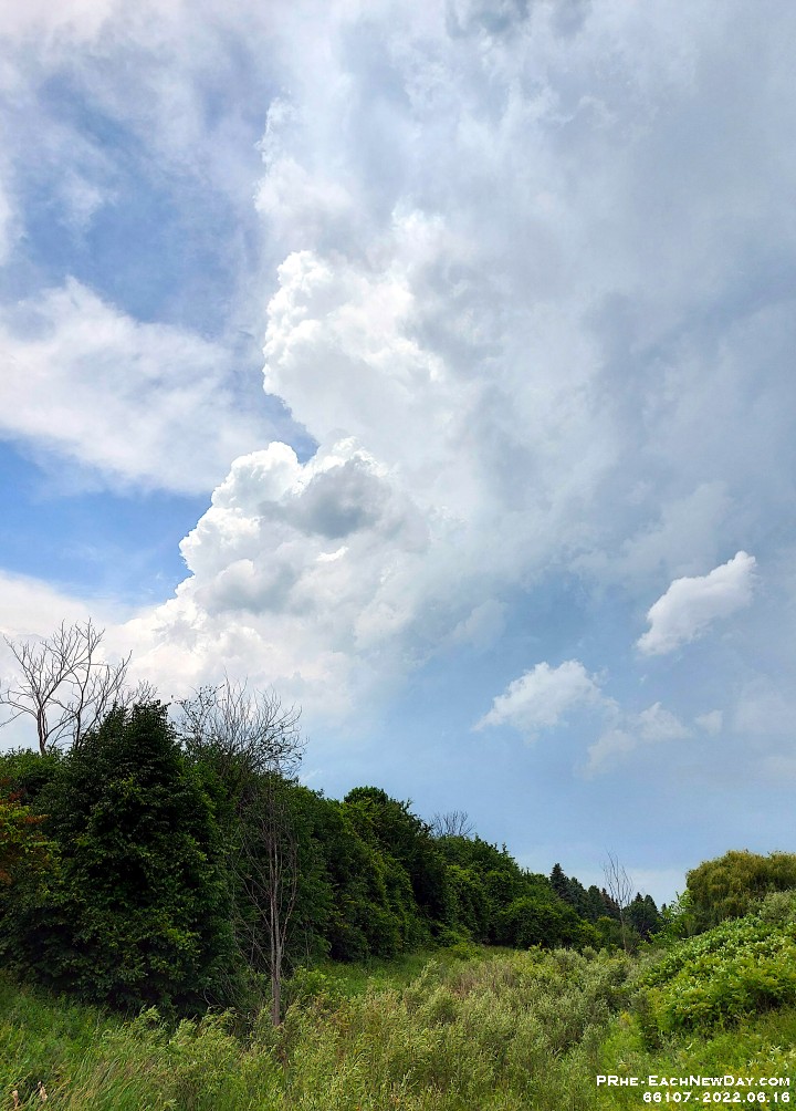 66107CrLeUsm - Thunderclouds over Miller's Creek Park
